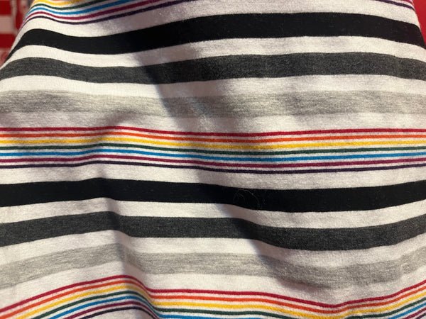 Rainbow Stripes 2 Bummies